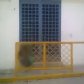 Instituto Bernal Diaz del Castillo