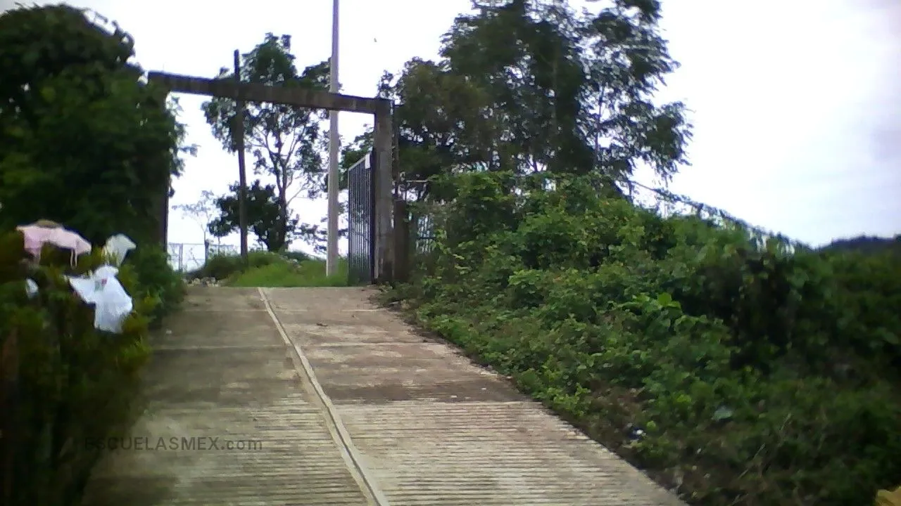 Primaria Bilingüe Justo Sierra Entrada