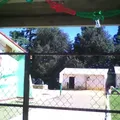Melchor Ocampo