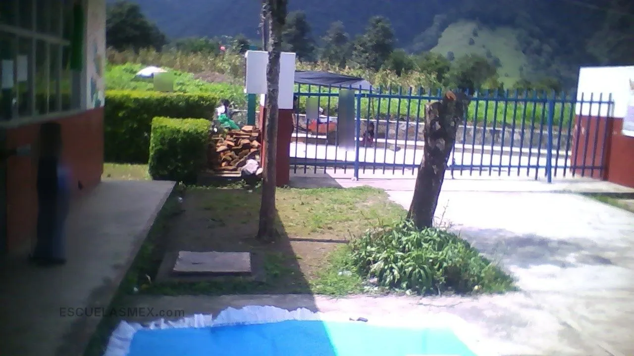 Sempoalxochitl Entrada