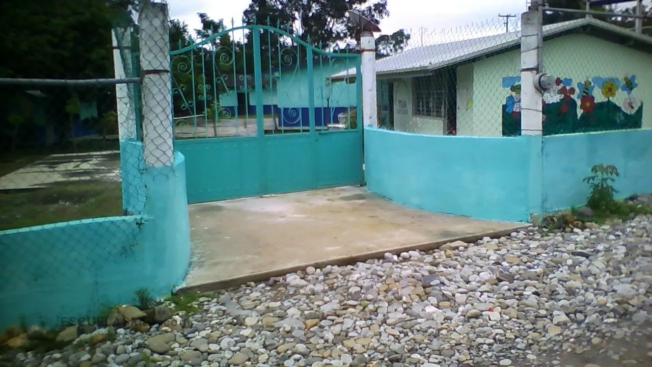 Tajin Entrada