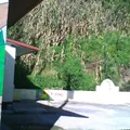 Netzahualcoyotl