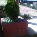 El Niño Artillero