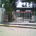 Enedina Campos