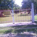 Citlali