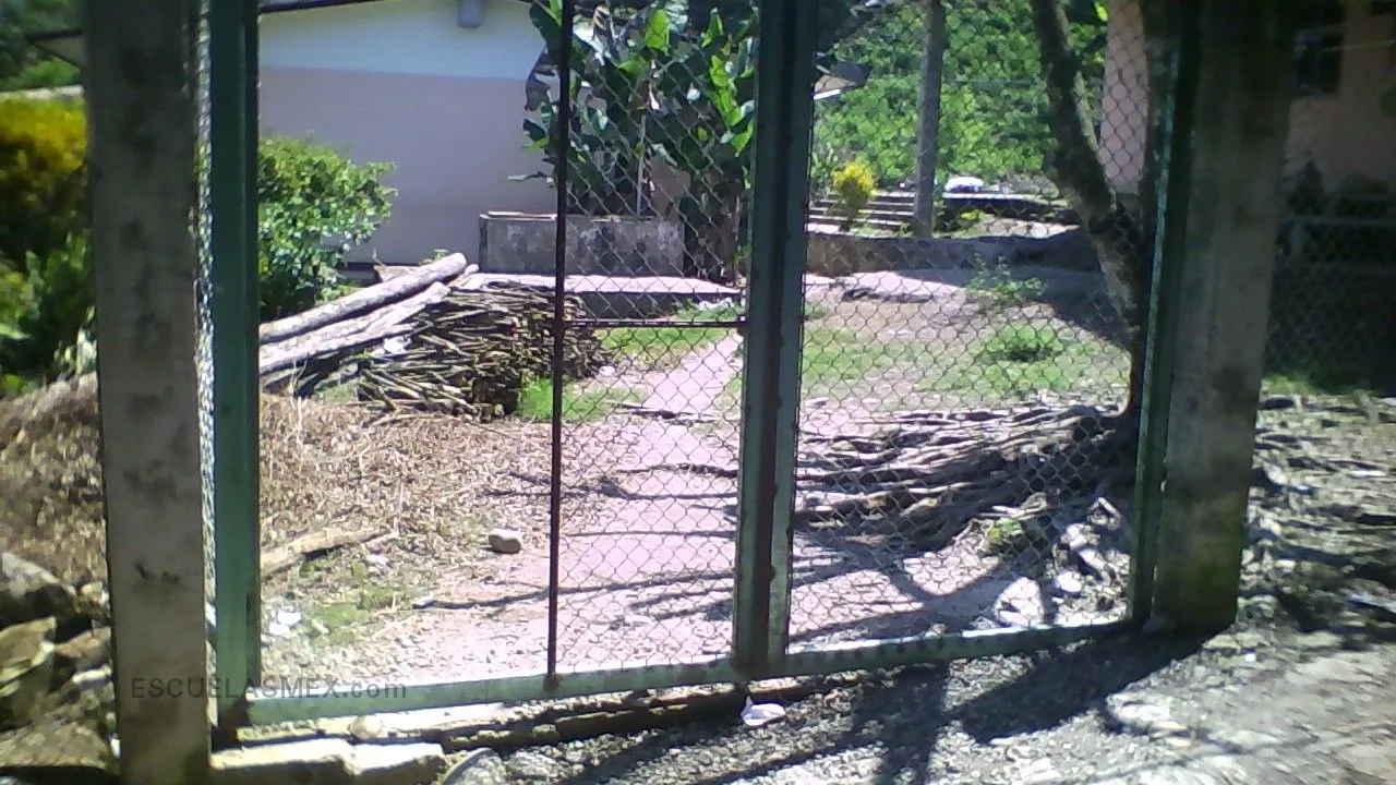 Gotitas de Miel Entrada