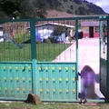 Netzahualcoyotl