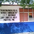 Maria Enriqueta
