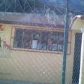 Francisco Villa