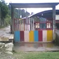 Xocoyotzi