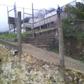 Macuilxochitzin