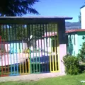 Luis Donaldo Colosio Murrieta