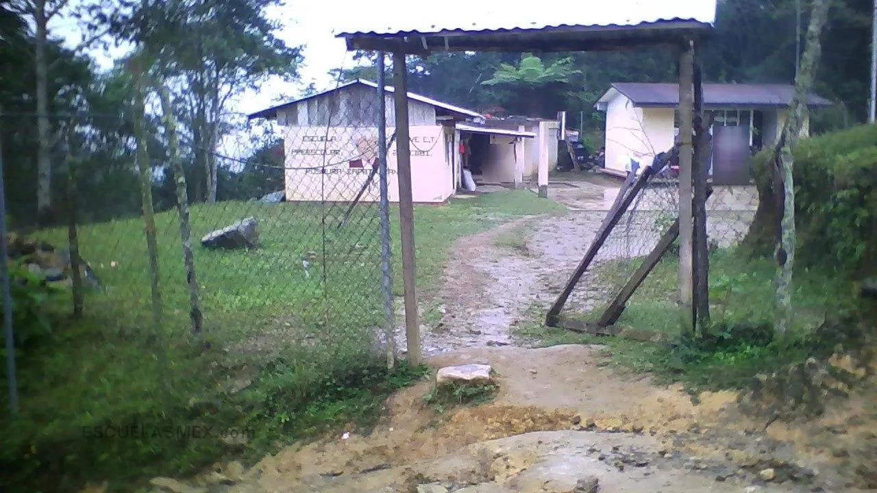 Rosaura Zapata Cano Entrada