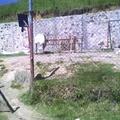Sempoalxochitl