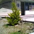 Sitlalkali