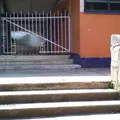 Licenciado Benito Juarez