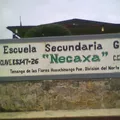 Necaxa