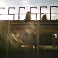 Plutarco Elias Calles