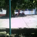Fortino Flores Tlaseca