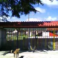 Rinconcito