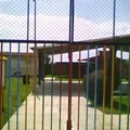 Vidal Alcocer