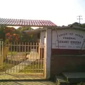 Genaro Godina