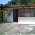 Elvira Angeles Zapata