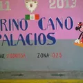 Celerino Cano Palacios