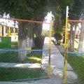 Vicente Suarez