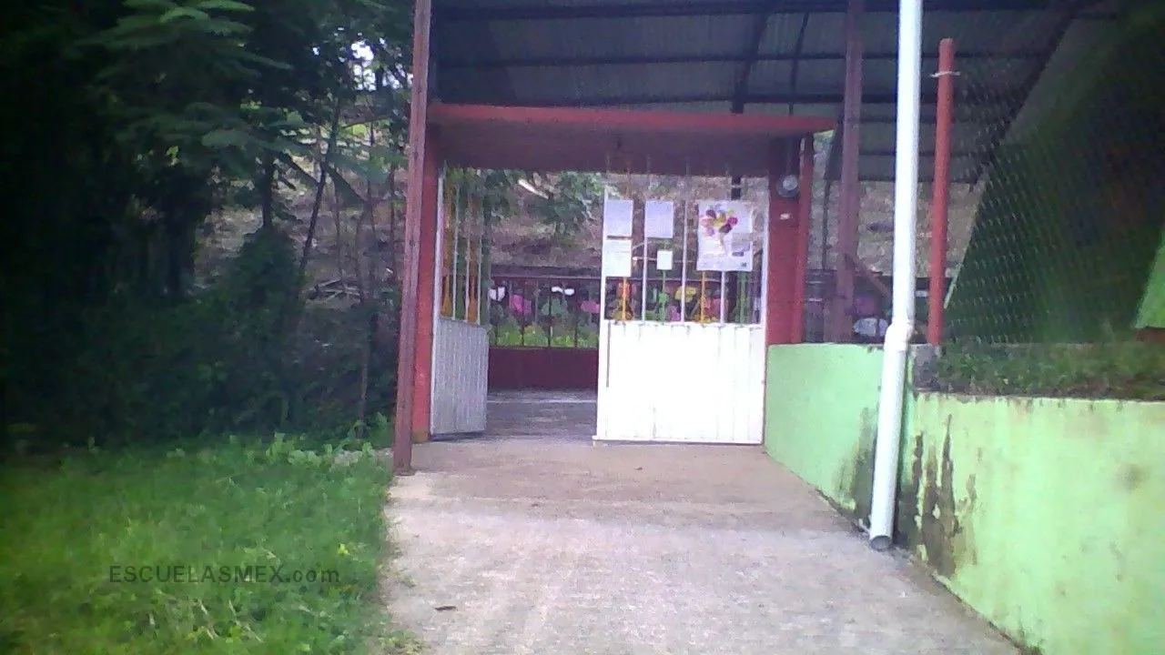 Narciso Mendoza Entrada