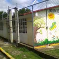 Tlanesi