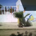 Melchor Ocampo