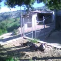 Yolot'si