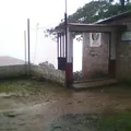 Liberacion Indigena