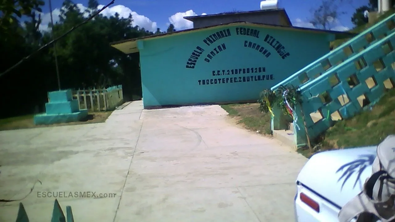 Damian Carmona Entrada