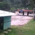 Netzahualcoyotl