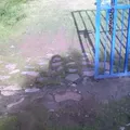 Tierra y Libertad