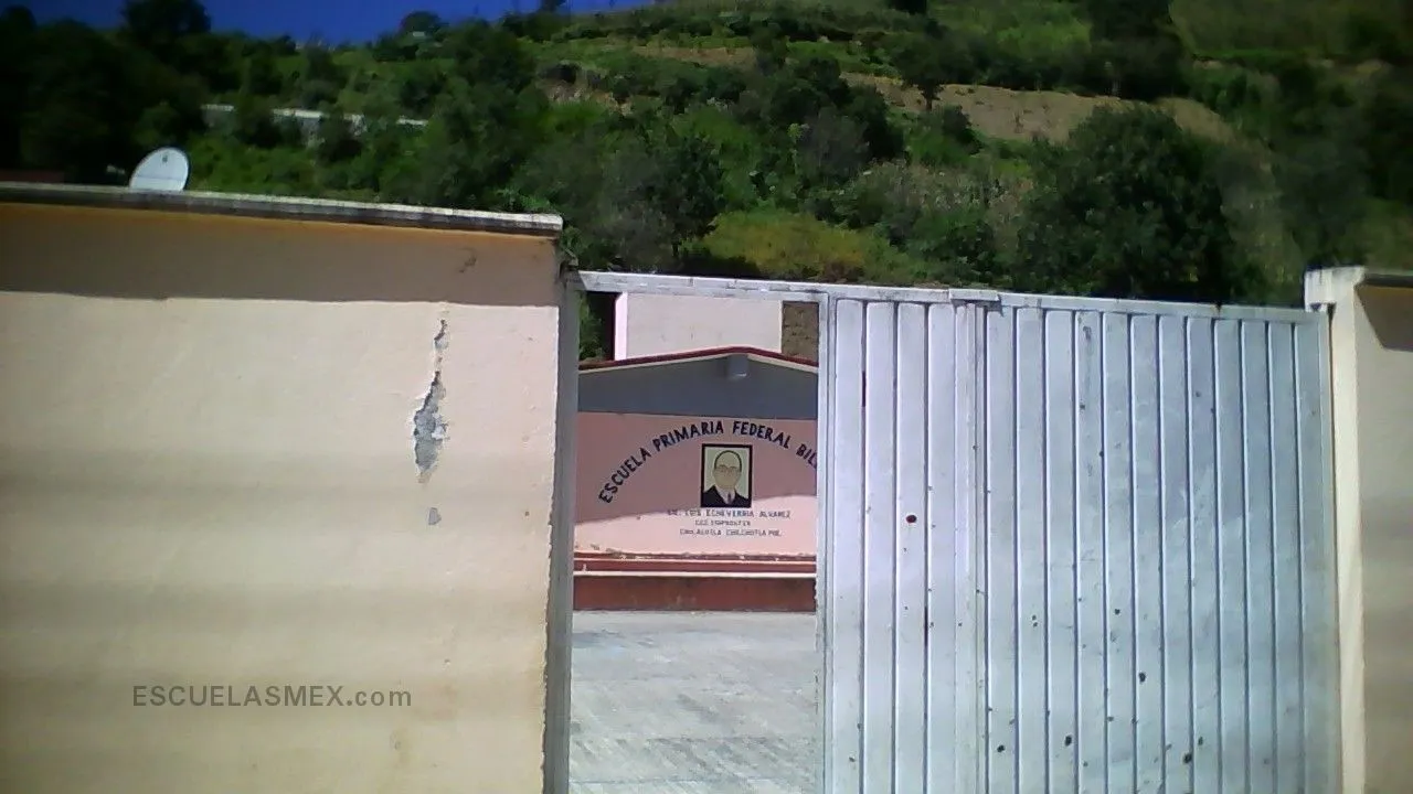 Licenciado Luis Echeverria Alvarez Entrada