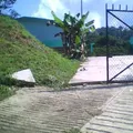 Juan Escutia
