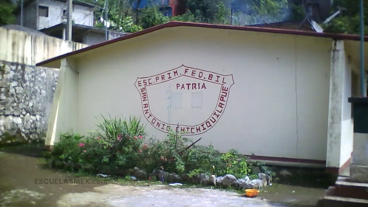 Patria Entrada