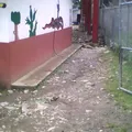 Primaria Bilingüe el Pipila