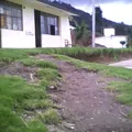 Luis Donaldo Colosio Murrieta