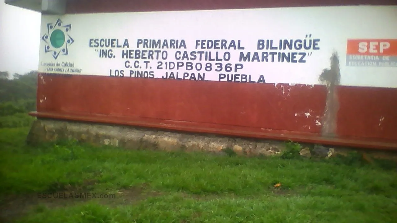 Heberto Castillo Martinez Entrada