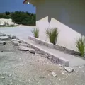 Cuitlahuac