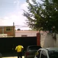 Profesor  Carlos Pastrana Jimenez
