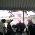 Profesor  Manuel Valderrama