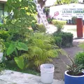 Lazaro Cardenas