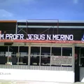 Profesor  Jesus N. Merino