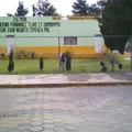 Ingeniero Aaron Merino Fernandez