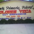 Dolores Vega
